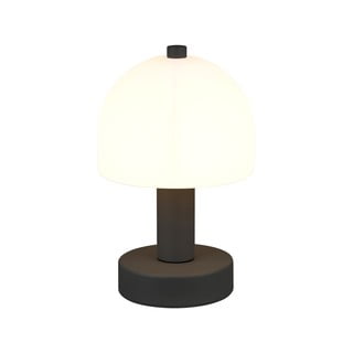 Črna/bela namizna svetilka s steklenim senčilom (višina 19 cm) Glenn – Trio
