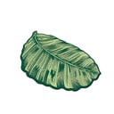 Zelena kopalniška preproga 60x100 cm Sheet – Foutastic