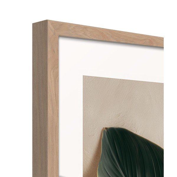 Tiskana slika z okvirjem 50x70 cm Strelizia Leaf – Styler-image-4