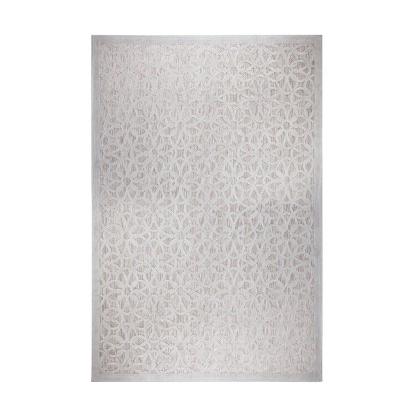 Siva zunanja preproga 230x160 cm Argento - Flair Rugs