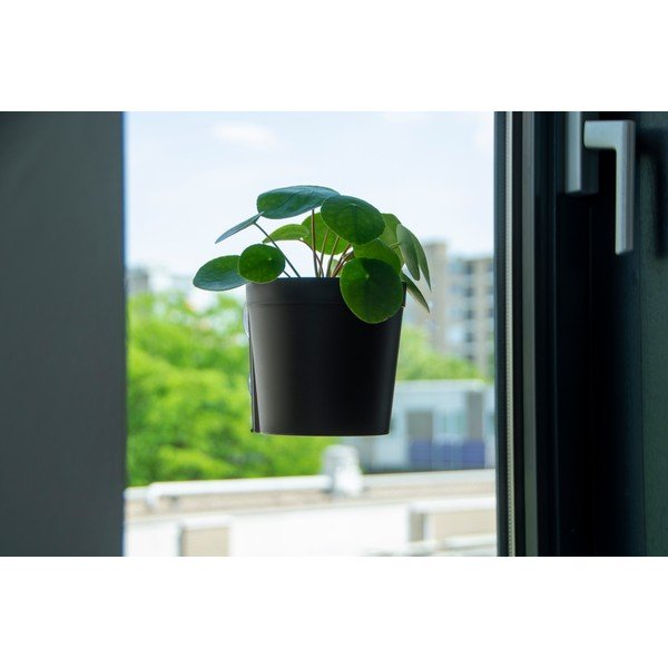 Plastični viseči in stenski cvetlični lonci v kompletu 2 ks ø 13 cm – Esschert Design-image-4