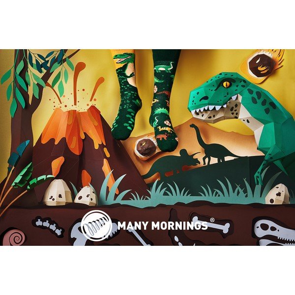 Nogavice Many Mornings The Dinosaurus, velikost 35-38-image-1