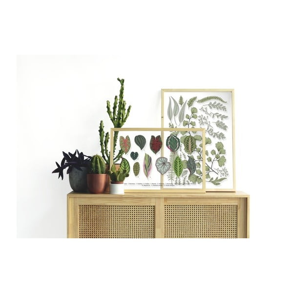 Slika z okvirjem iz borovega lesa Surdic Leafes Collection, 50 x 70 cm-image-1