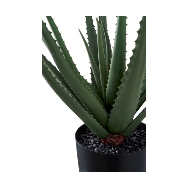 Umetna rastlina (višina 51 cm) Aloe Vera – House Nordic-image-4