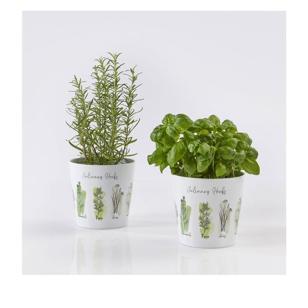 Keramični lončki za zelišča v kompletu 2 kos ø 14 cm Dalllas Culinary - Big pots-image-1