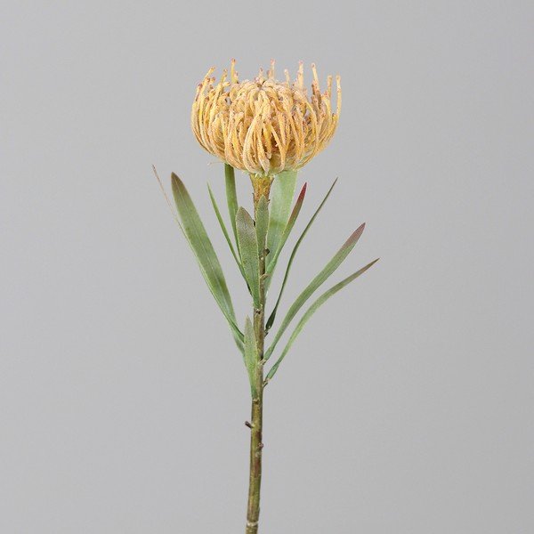 Umetna rastlina (višina 43 cm) Protea – Ego Dekor