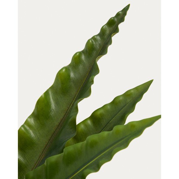 Umetni sukulent (višina 70 cm) Neottopteris – Kave Home-image-2