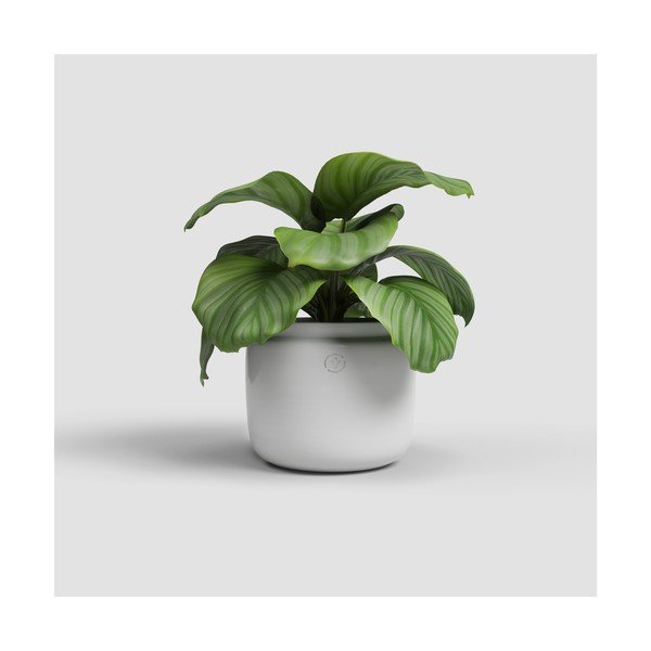 Keramičen ročno poslikan cvetlični lonec ø 26 cm Astrea – Artevasi-image-1