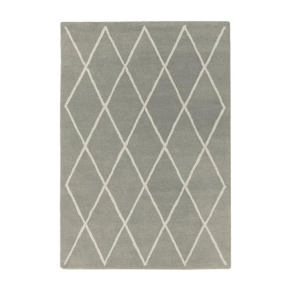Siva ročno tkana volnena preproga 120x170 cm Albany – Asiatic Carpets
