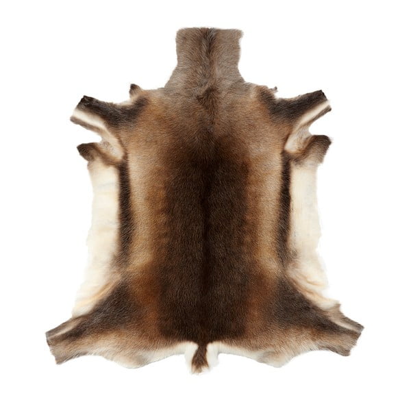 Usnje za severne jelene Hübsch Reindeer