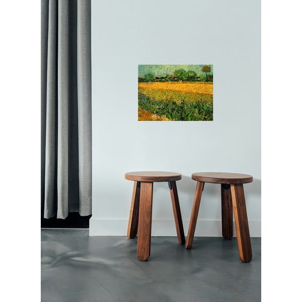 Reprodukcija slike Vincent van Gogh - View of arles with irises in the foreground, 40 x 30 cm-image-1