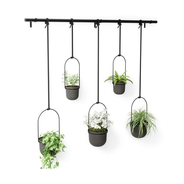 Plastični okrasni cvetlični lonci v kompletu 5 ks za zelišča/viseči ø 7,5 cm Triflora – Umbra-image-4