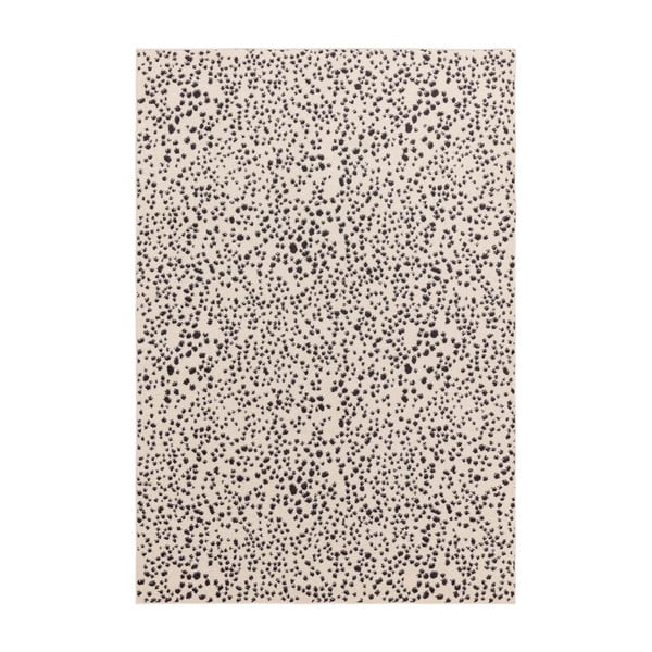 Črna/bela preproga 120x170 cm Muse – Asiatic Carpets
