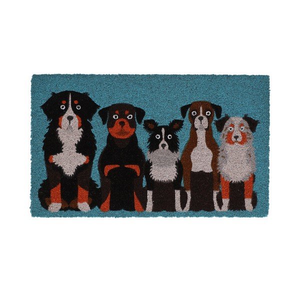 Predpražnik iz kokosovih vlaken 45x75 cm – Esschert Design
