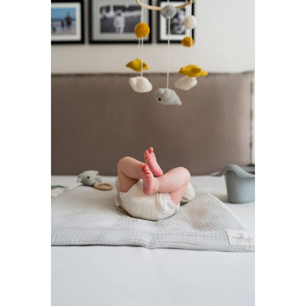 Siva kahlica - Kindsgut   -image-2