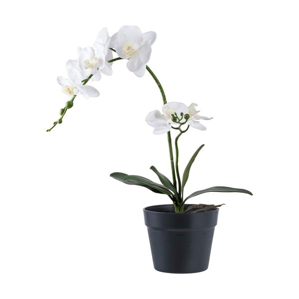 Umetna rastlina (višina 47 cm) Orchid – House Nordic
