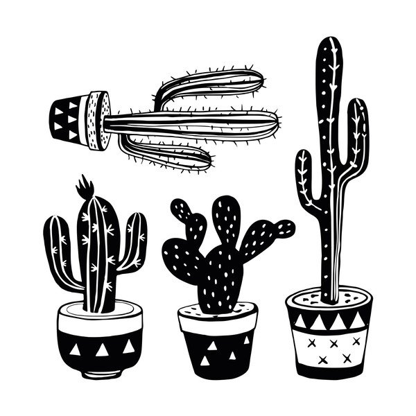 Komplet 4 nalepk Ambiance Mexican Cactus-image-2
