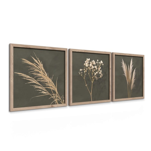 Slike v kompletu 3 ks 30x30 cm Pampas – Styler-image-4