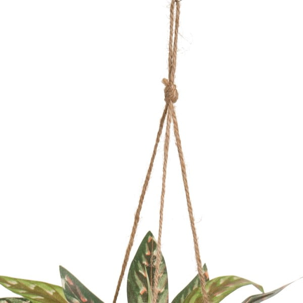 Umetna rastlina (višina 25 cm) – Casa Selección-image-2