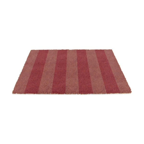 Predpražnik iz kokosovih vlaken 40x60 cm Pink Stripe – Artsy Doormats