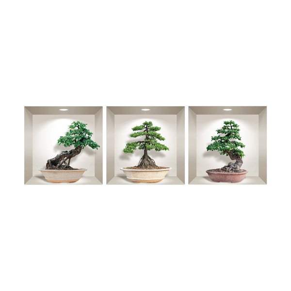 Komplet 3 3D stenskih nalepk Ambiance Ginseng Bonsai-image-2