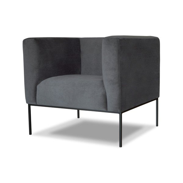 Sivi fotelj Windsor & Co. Zofe Neptune-image-1
