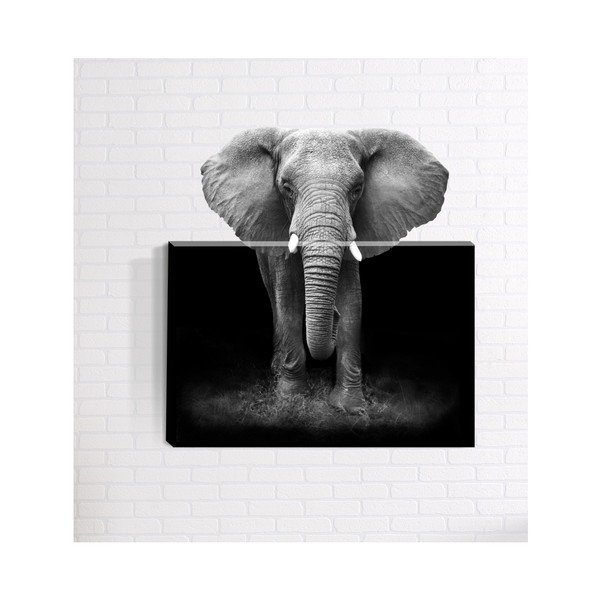 3D stenska slika Mosticx Afrika, 40 x 60 cm