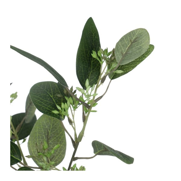 Umetni evkaliptus (višina 59 cm) – Ixia-image-1