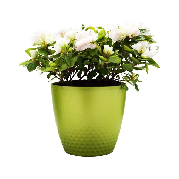 Zelen lonec Plastia Perla, ø 21,5 cm-image-1