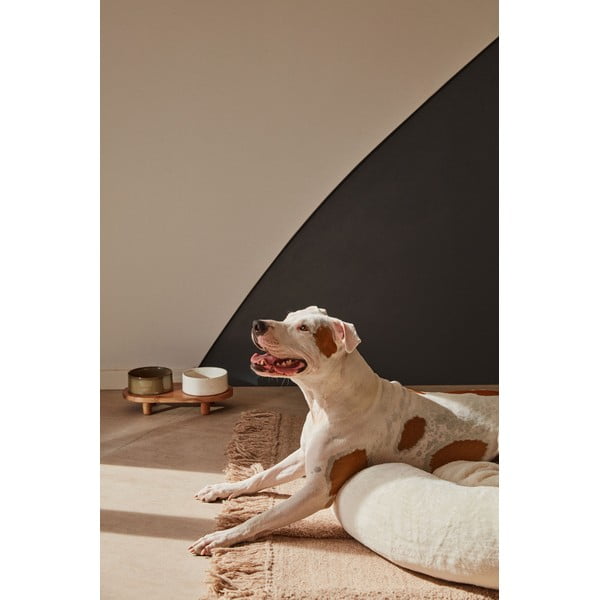 Keramične sklede za pse v kompletu 2 kos Dumbi - Kave Home-image-4