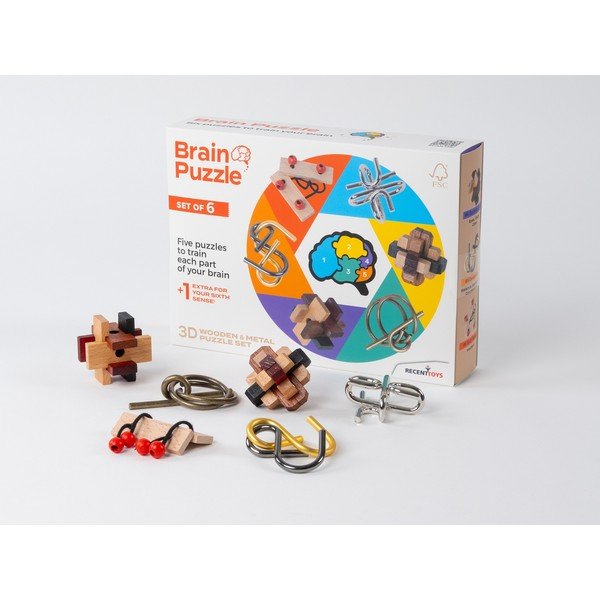 Miselna igra Brain Puzzle – RecentToys-image-1