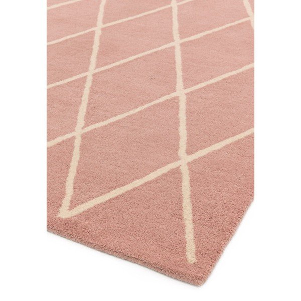 Rožnata ročno tkana volnena preproga 120x170 cm Albany – Asiatic Carpets-image-4