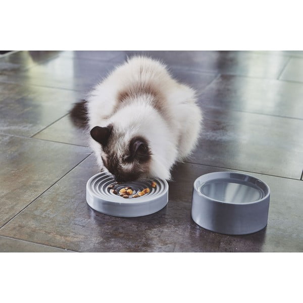Porcelanasta posoda za hrano za mačke ø 14 cm Fresco Concrete S – MiaCara-image-3