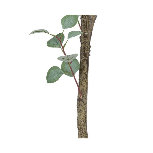 Umetni evkaliptus (višina 180 cm) Eucalyptus – Ixia-image-4