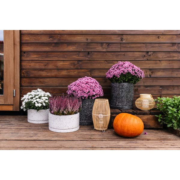 Temno siv cvetlični lonček Bonami Selection Terrazzo, ø 34 cm-image-3