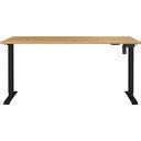 Električna dvižna pisalna miza 80x160 cm Boras – Germania