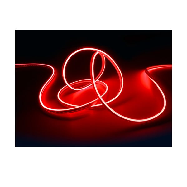 Bel LED trak 300 cm Neon – Reality-image-4