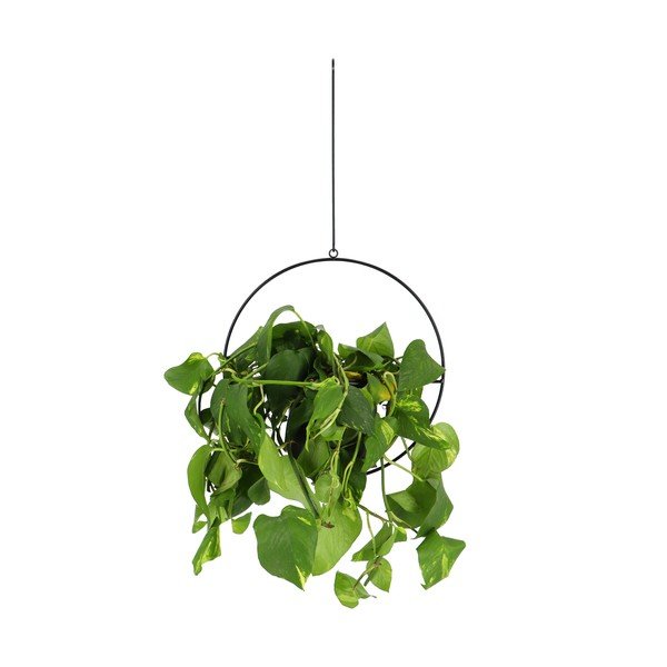 Črno viseče držalo za cvetlični lonček Esschert Design Planter-image-1