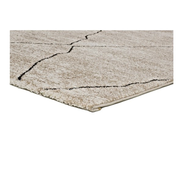 Bež preproga Universal Hydra Beige, 160 x 230 cm-image-2