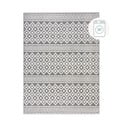 Siva pralna preproga iz šenila 80x160 cm Jhansi – Flair Rugs