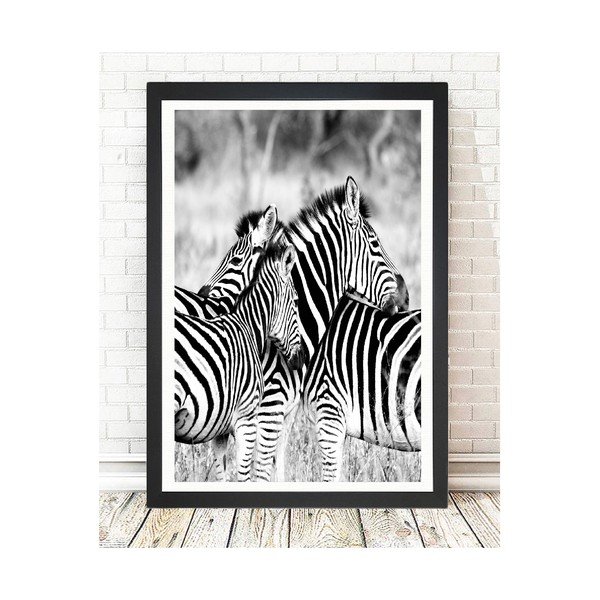 Slika Tablo Center Zebras, 24 x 29 cm-image-1
