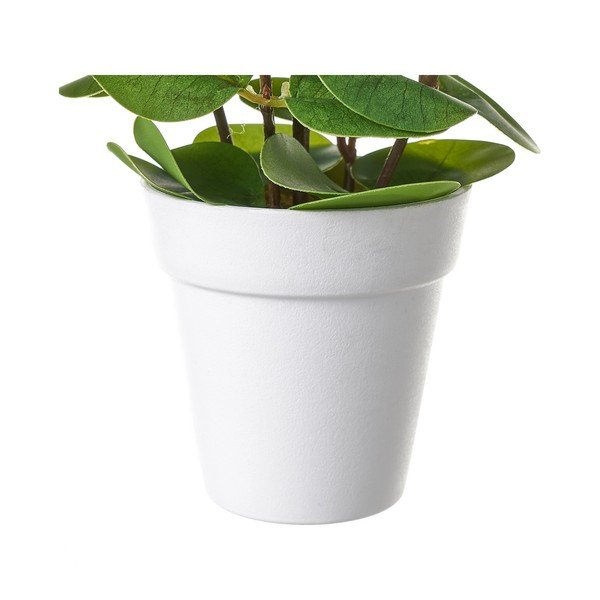 Umetna rastlina – Casa Selección-image-1