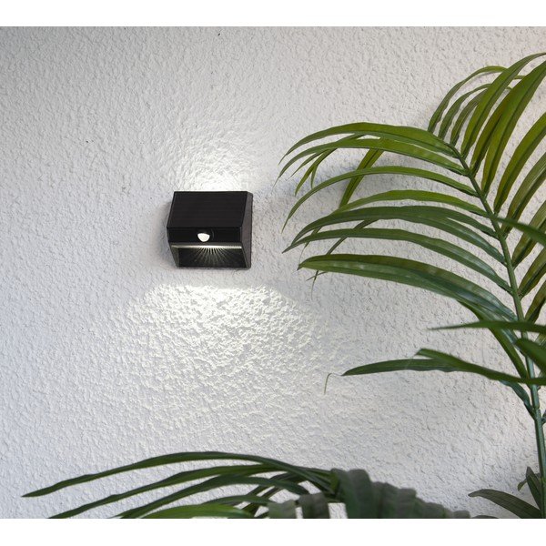 Solarna LED stenska luč Star Trading Wally, višina 11 cm-image-1