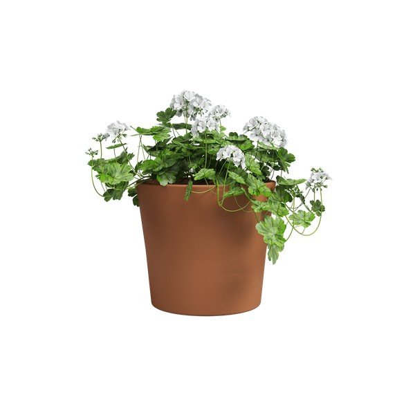 Cvetlični lonec iz terakote ø 39 cm Manuel – Artevasi-image-2