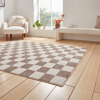 Rjava preproga 200x290 cm Baltimore – Think Rugs