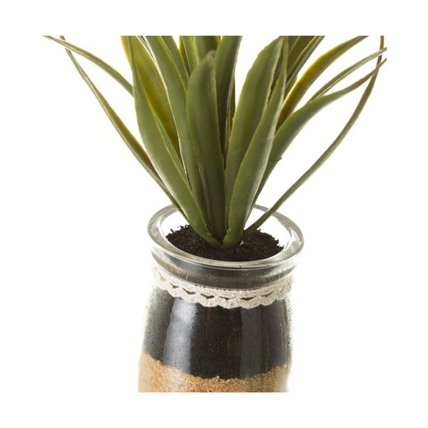 Umetne rastline v kompletu 4 ks (višina 18 cm) Cactus – Casa Selección-image-2