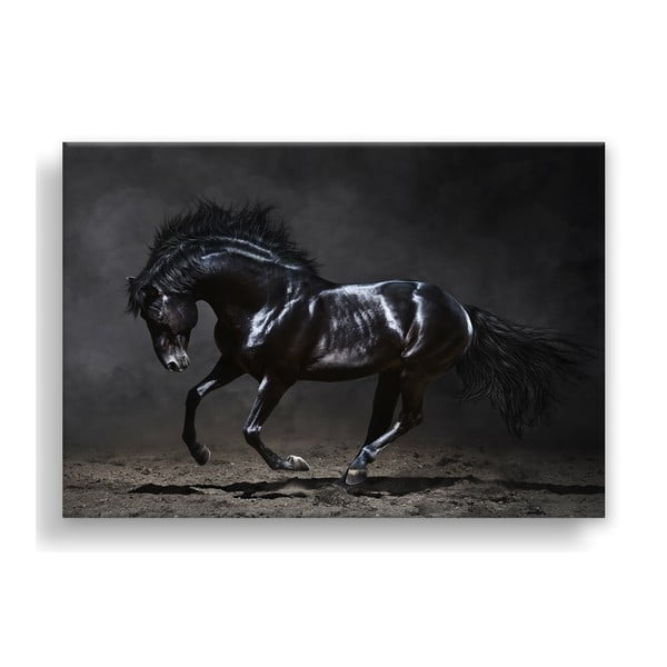Slika Styler Platno Silver Uno Horse, 85 x 113 cm