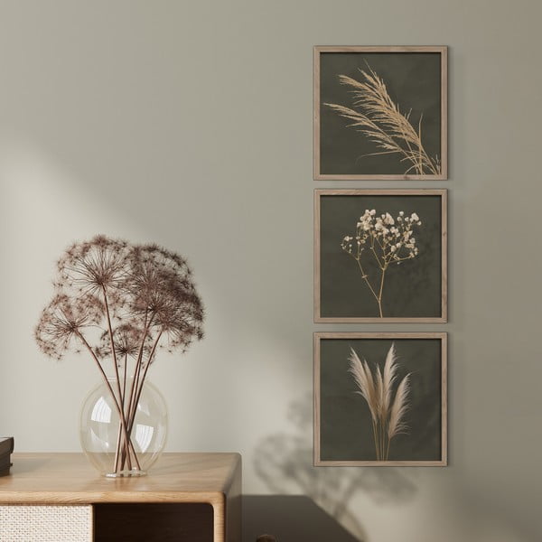 Slike v kompletu 3 ks 30x30 cm Pampas – Styler-image-1