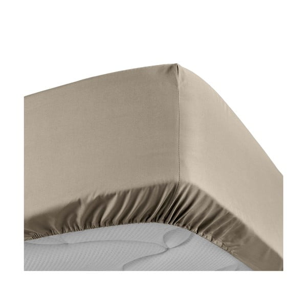 Svetlo rjava napenjalna rjuha iz bombažnega perkala 160x200 cm Percaline – douceur d'intérieur-image-3