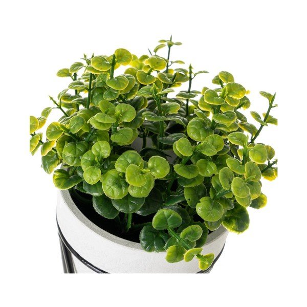 Umetne rastline v kompletu 4 ks – Casa Selección-image-2